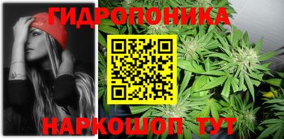 кокс Заводоуковск