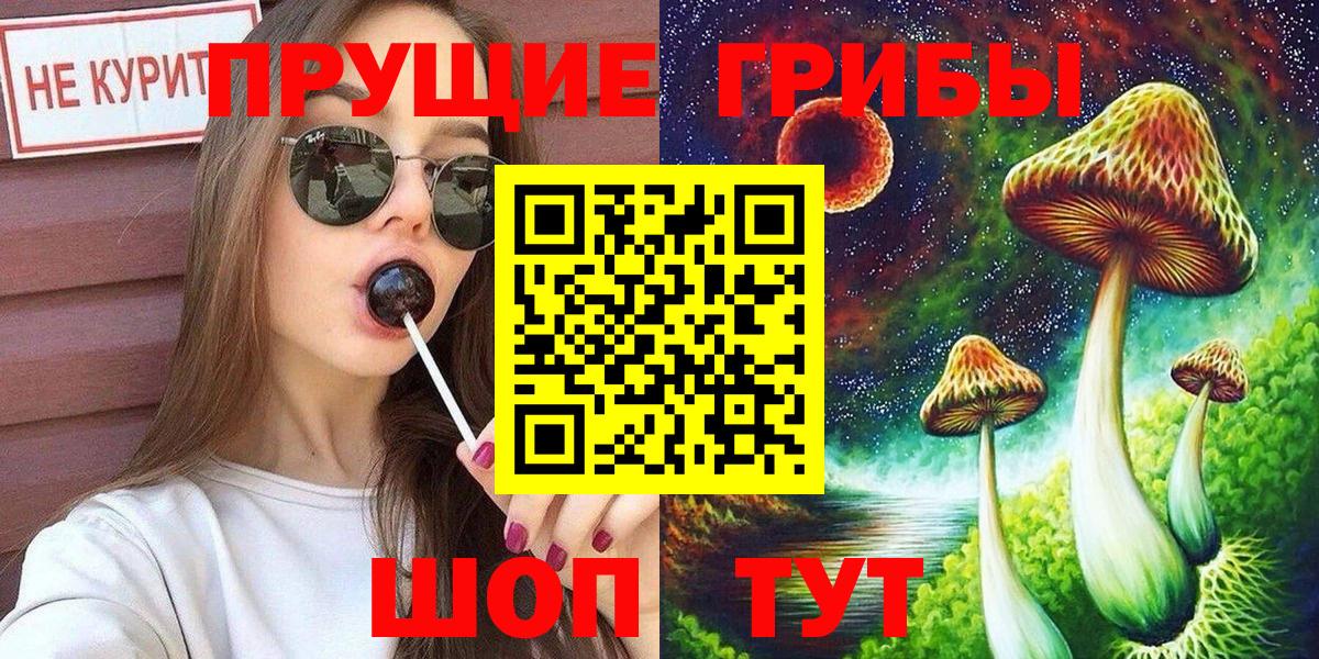 Карпинск  Галлюциногенные грибы прущие грибы  Вход с VPN 
